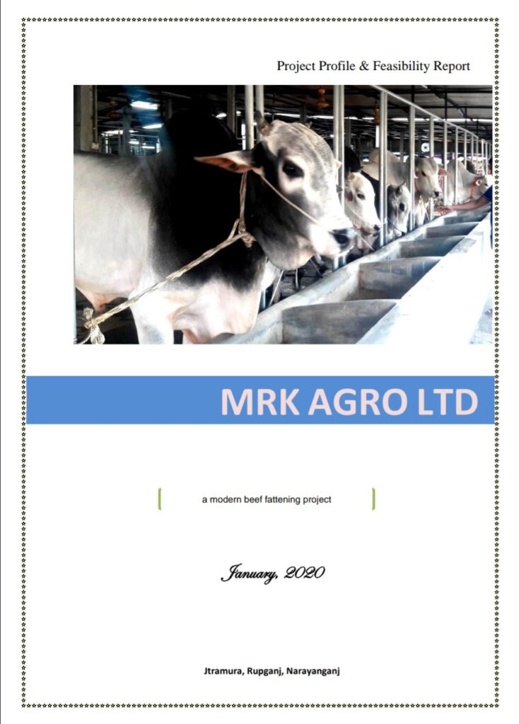 Beef Fattening Project in Bangladesh